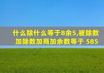 什么除什么等于8余5,被除数加除数加商加余数等于 585